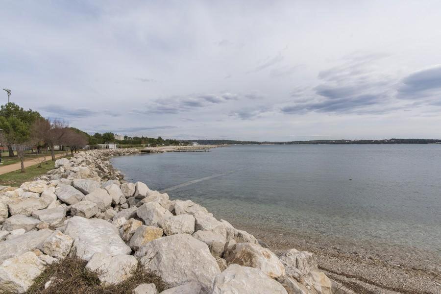 Apartment Zak Novigrad Istria Dış mekan fotoğraf