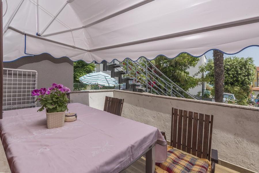 Apartment Zak Novigrad Istria Dış mekan fotoğraf