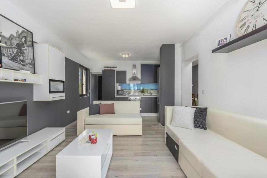 Apartment Zak Novigrad Istria Dış mekan fotoğraf